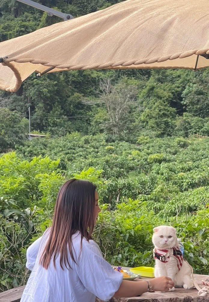 Real photo of Ami at an outdoor table with Aden in a red harness